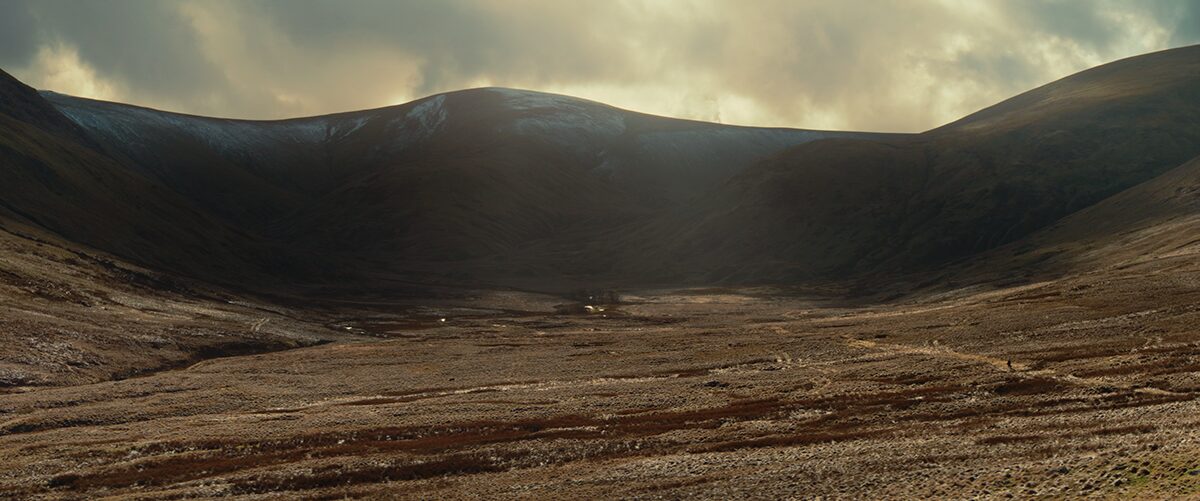 BOGS project still 5