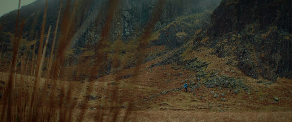 BOGS project still 10