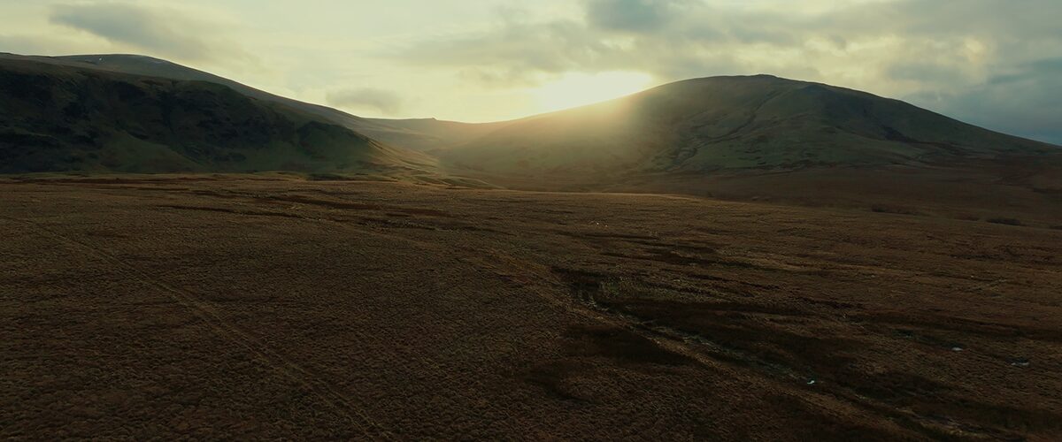 BOGS project still 12