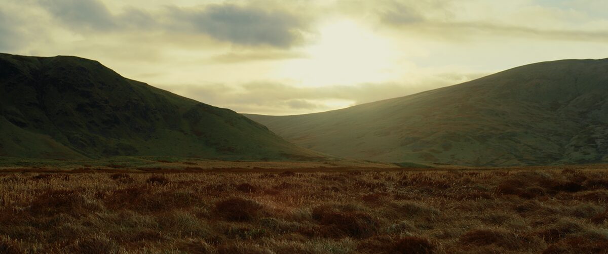 BOGS project still 15