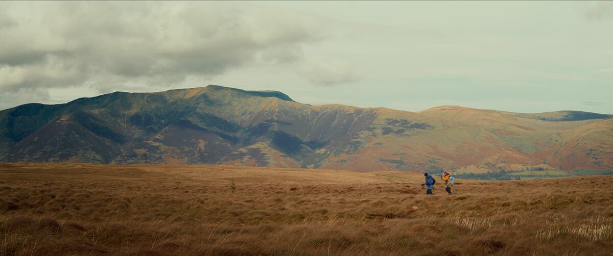 BOGS project still 19