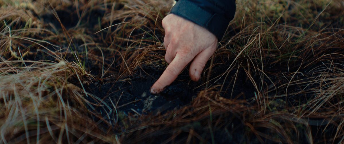 BOGS project still 24