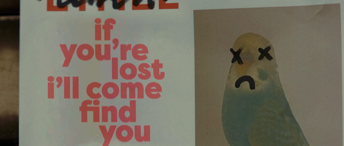 If You’re Lost I’ll Come Find You project still 3