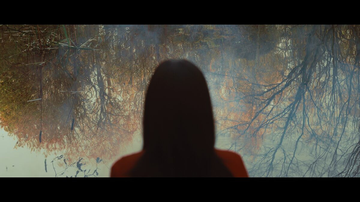 NUMB project still 8
