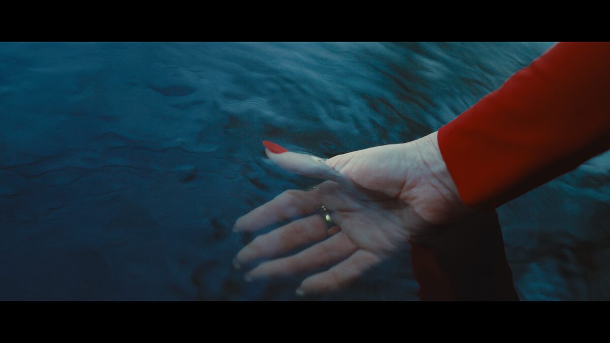 NUMB project still 14